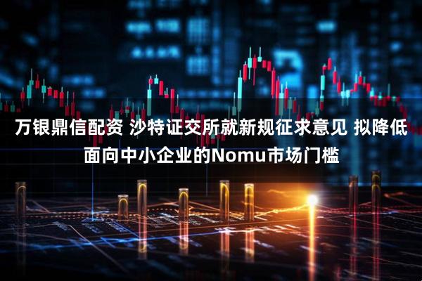 万银鼎信配资 沙特证交所就新规征求意见 拟降低面向中小企业的Nomu市场门槛