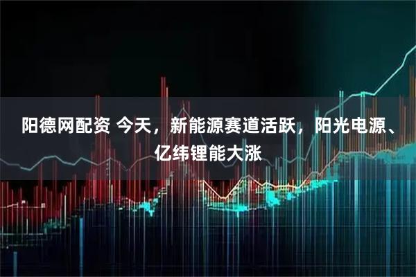 阳德网配资 今天，新能源赛道活跃，阳光电源、亿纬锂能大涨