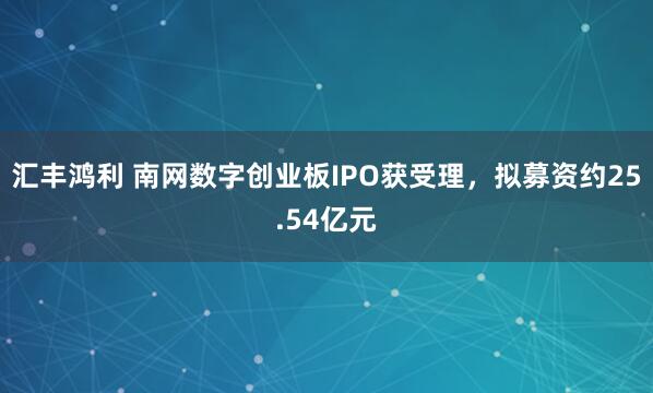 汇丰鸿利 南网数字创业板IPO获受理，拟募资约25.54亿元