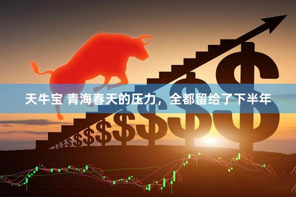 天牛宝 青海春天的压力，全都留给了下半年